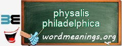 WordMeaning blackboard for physalis philadelphica